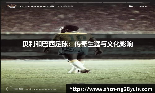 南宫ng28公司
